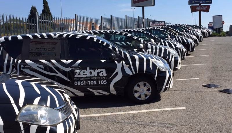 Zebra Crossing with a Social Purpose